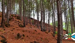 Land for sale in Ella