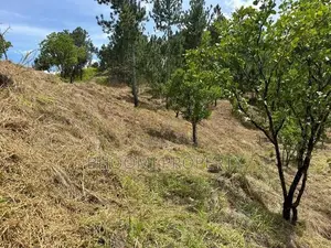 Land for sale in Ella