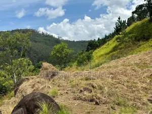 Land for sale in Ella