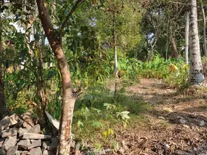 Land for Sale –gampaha