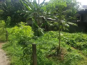 Land for Sale Gampola