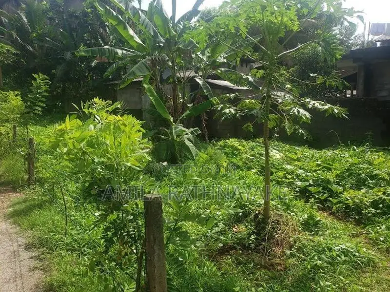 Land for Sale Gampola
