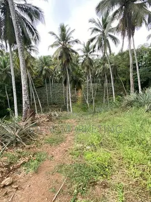 Yakkala - Land for Sale