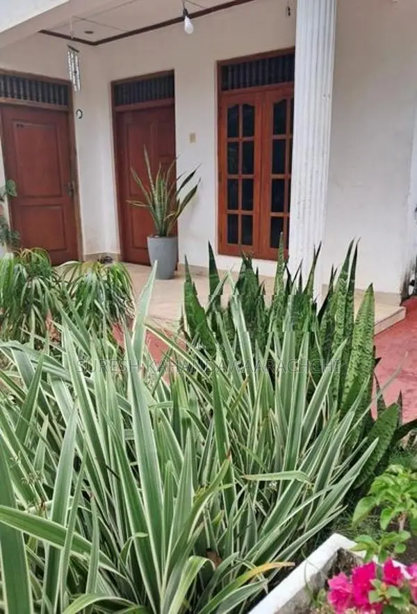 House for Sale - Weliveriya