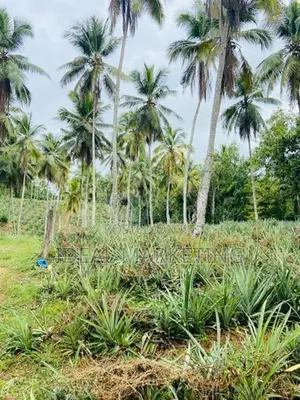 Yakkala - Land for Sale