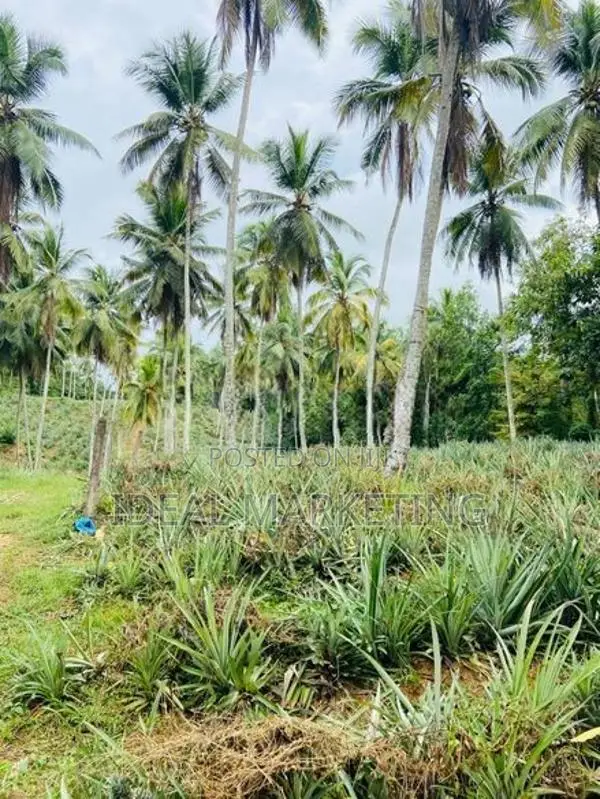 Yakkala - Land for Sale