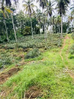 Yakkala - Land for Sale
