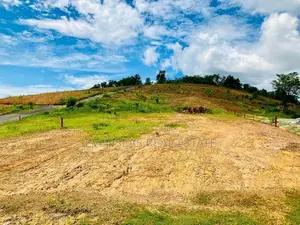 Land for Sale in Avissawella