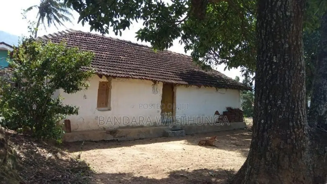 උඩුහාවර පර්චස් 40 ක ඉඩමක් විකිනිමට