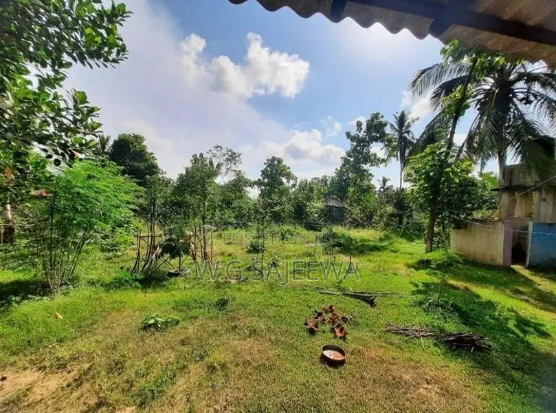 35perchs Land for sale in katana