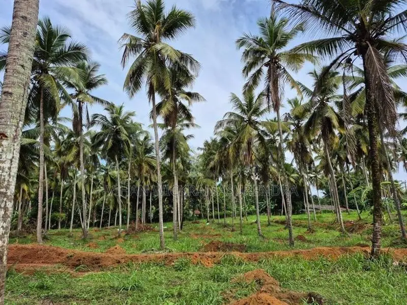 Land for Sale in Attanagalla