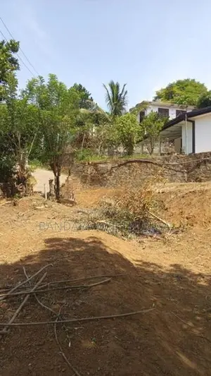 උඩුහාවර පර්චස් 40 ක ඉඩමක් විකිනිමට