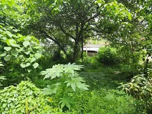 9P Residential Bare Land For Sale In Malabe