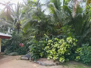 Valuable House for Sale in Horana