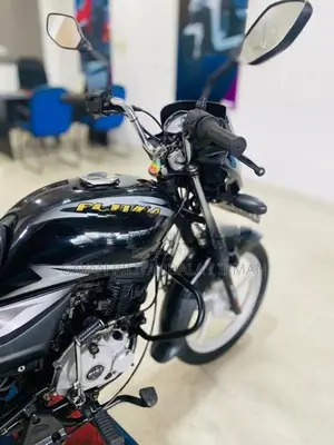 Bajaj Platina 2019