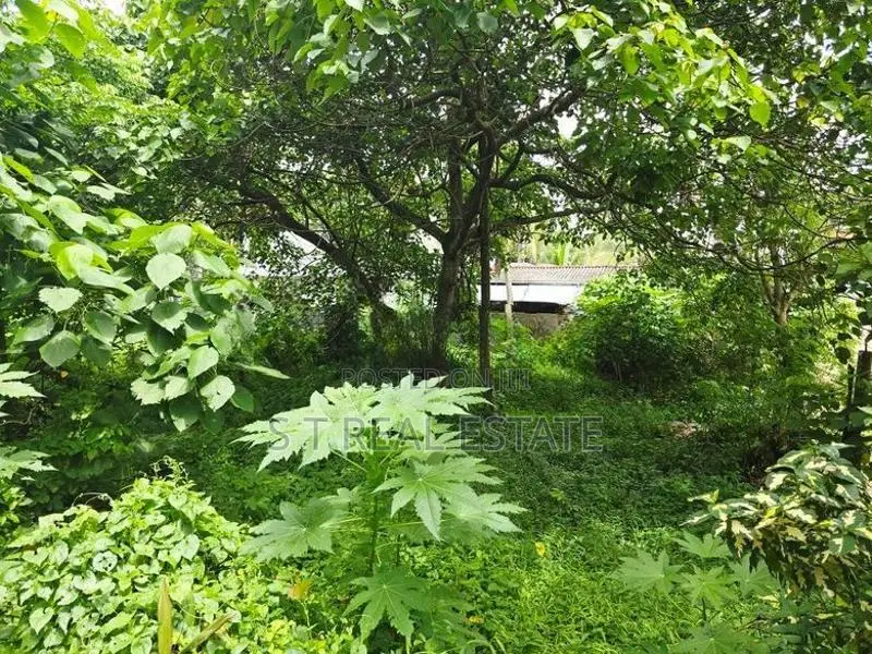 9P Residential Bare Land For Sale In Malabe
