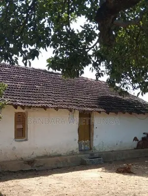 උඩුහාවර පර්චස් 40 ක ඉඩමක් විකිනිමට