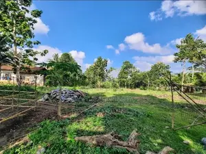 35perchs Land for sale in katana