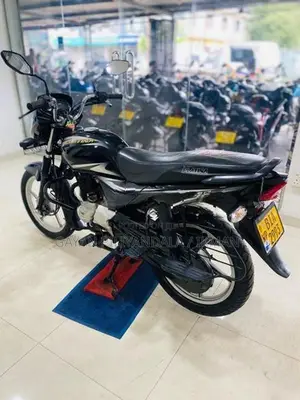 Bajaj Platina 2019