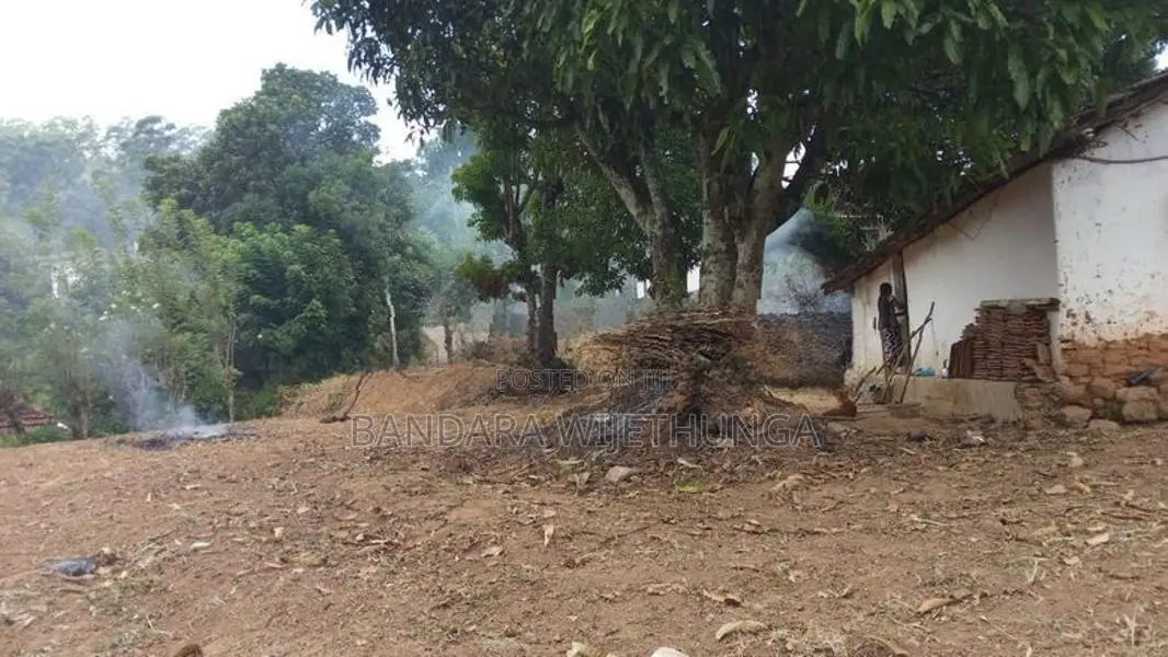 උඩුහාවර පර්චස් 40 ක ඉඩමක් විකිනිමට