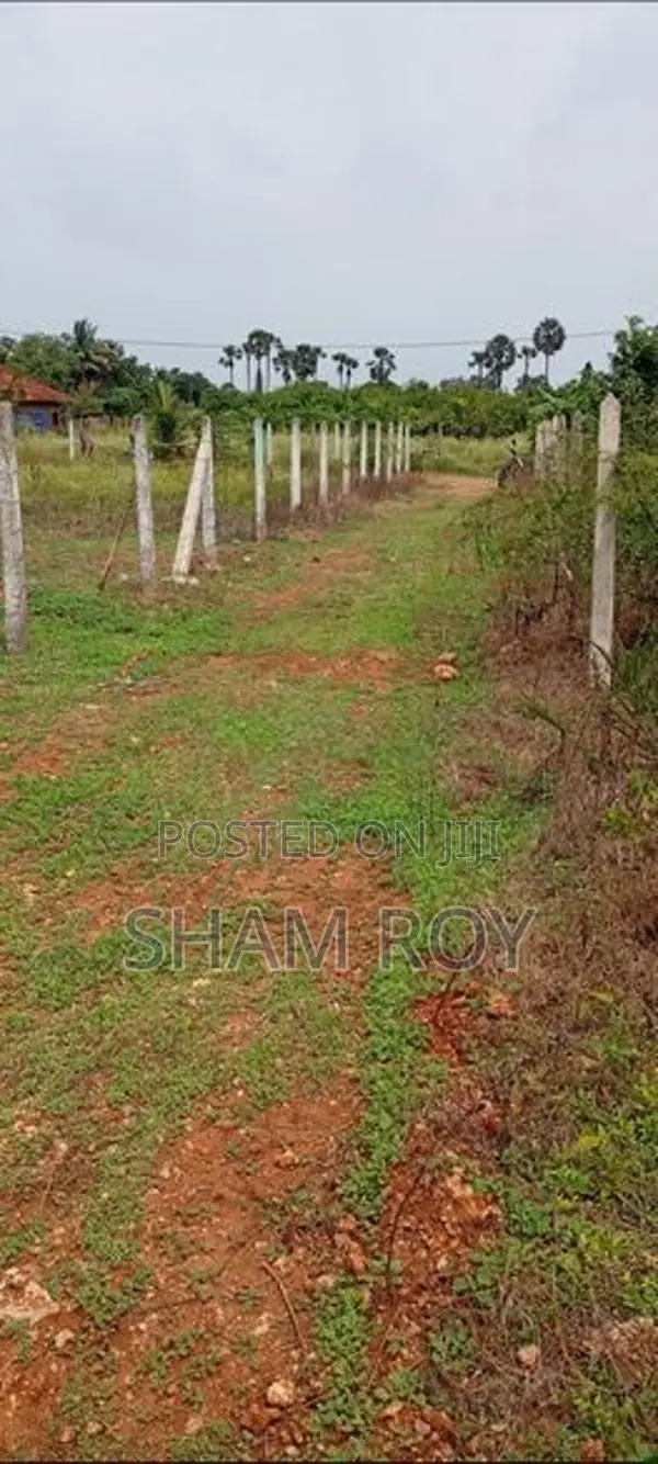காணி விற்பனைக்கு Varthalaivilan
