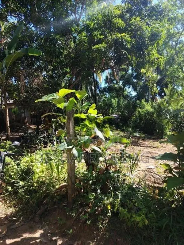 Land for Sale in Monaragala