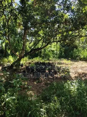 Land for Sale in Monaragala