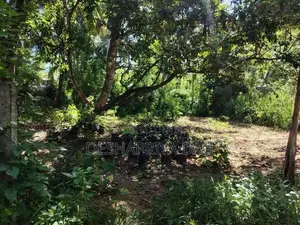 Land for Sale in Monaragala