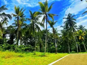 Mirigama නිස්කලංක තැනකින් ඉඩමක්