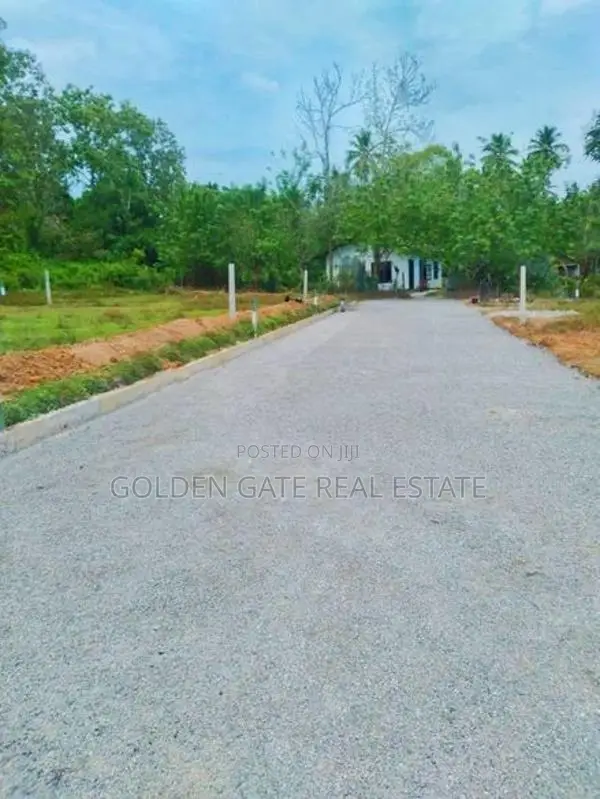 Beliatta Land for Sale