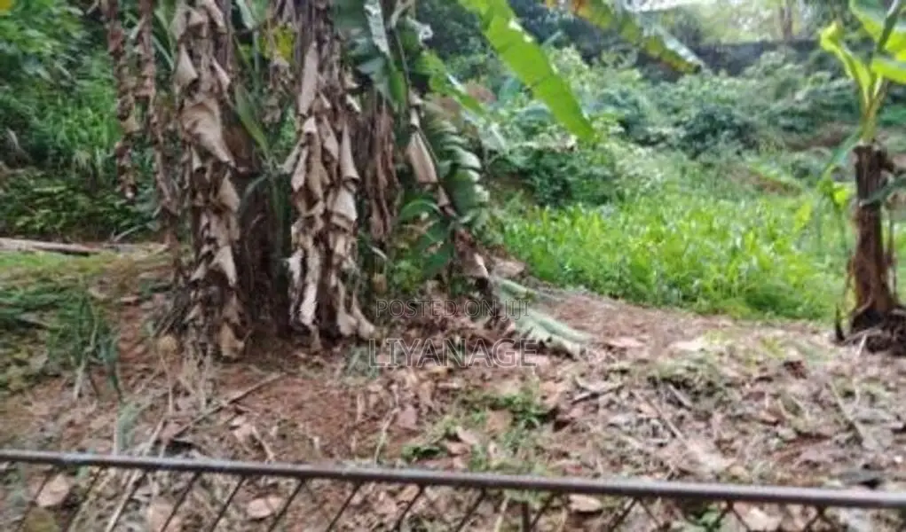 21.5 Perches Land Rectangular Block in Central Location Rajagiriya