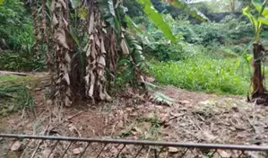 21.5 Perches Land Rectangular Block in Central Location Rajagiriya