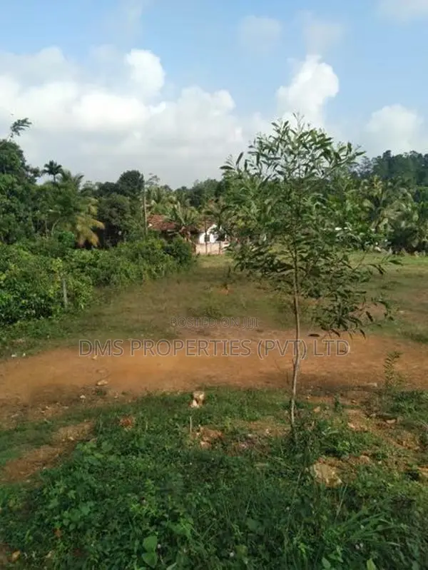 Land for sale |Kalutara South | 380 Perches