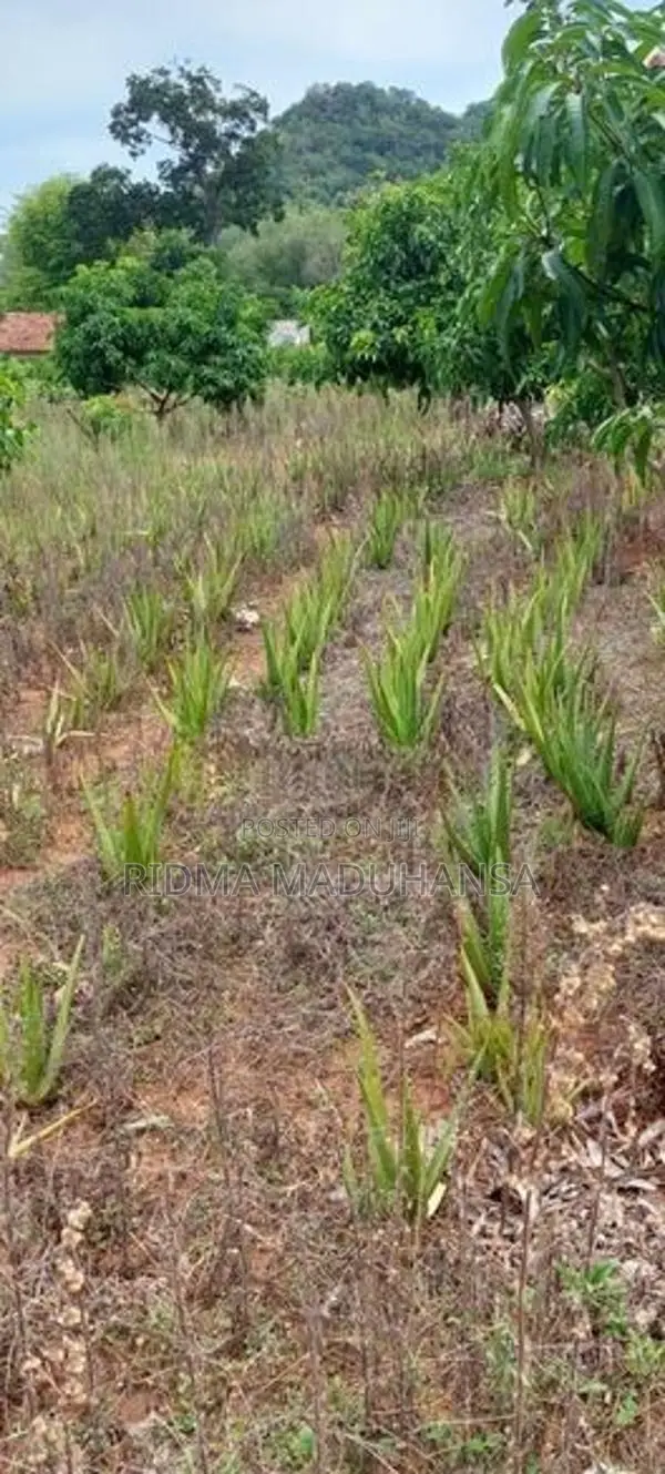 Land for Sale in Lunugamwehera