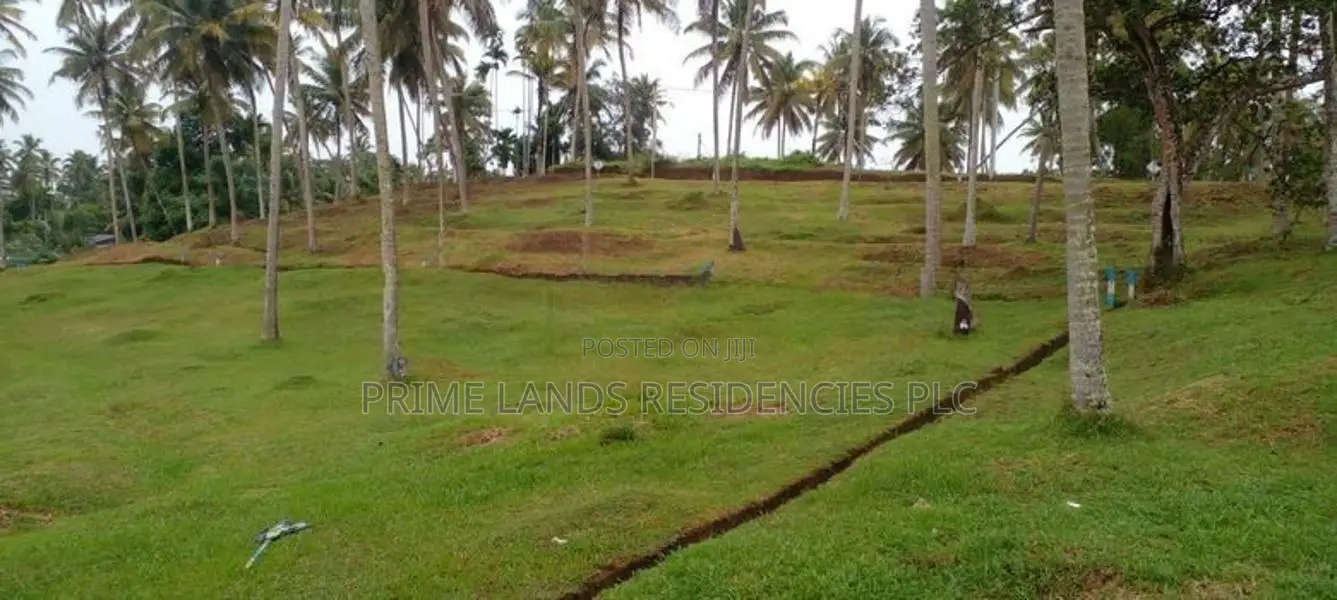 Land Plots in Labeema