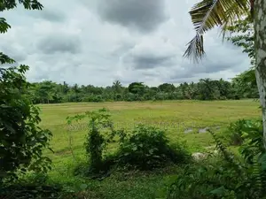 2 Storied House in Homagama Moragahahena - With Paddy Field View