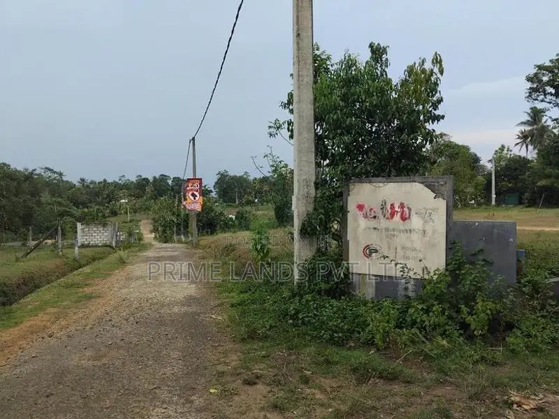 නේවාසික බිම් කොටස් කලුතර