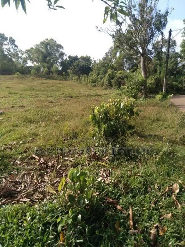 Land for sale |Kalutara South | 380 Perches