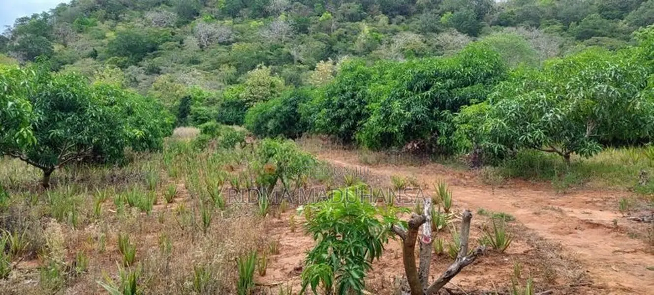 Land for Sale in Lunugamwehera
