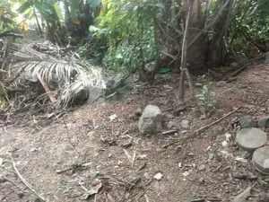 Land for Sale in Kolonnawa Gothatuwa