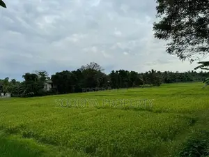 Newly Build House for Sale in Polgasowita Piliyandala