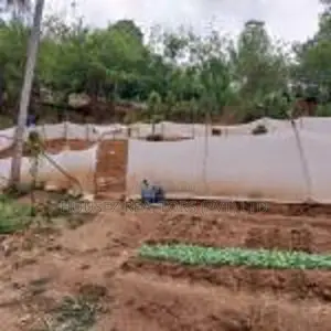 Agricultural Land for Sale – Kandy