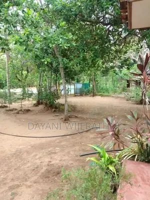 House for Sale Padaviya