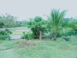 Valuable Land for Sale in Horana – Raigama