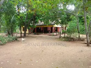 House for Sale Padaviya