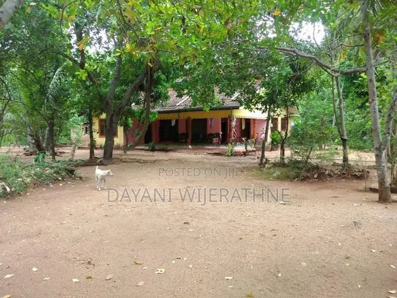 House for Sale Padaviya