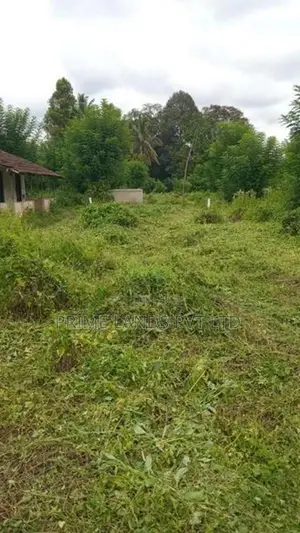 Land for Sale Pilimathalawa