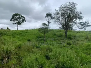 Land for Sale Pussellawa
