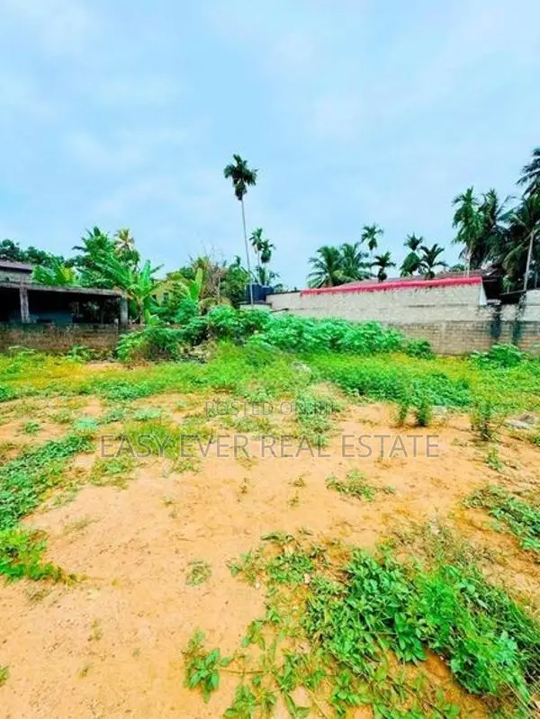 වැල්ලන්පිටිය, කොටුවිලින් පර්චස් 20ක ඉඩමක්