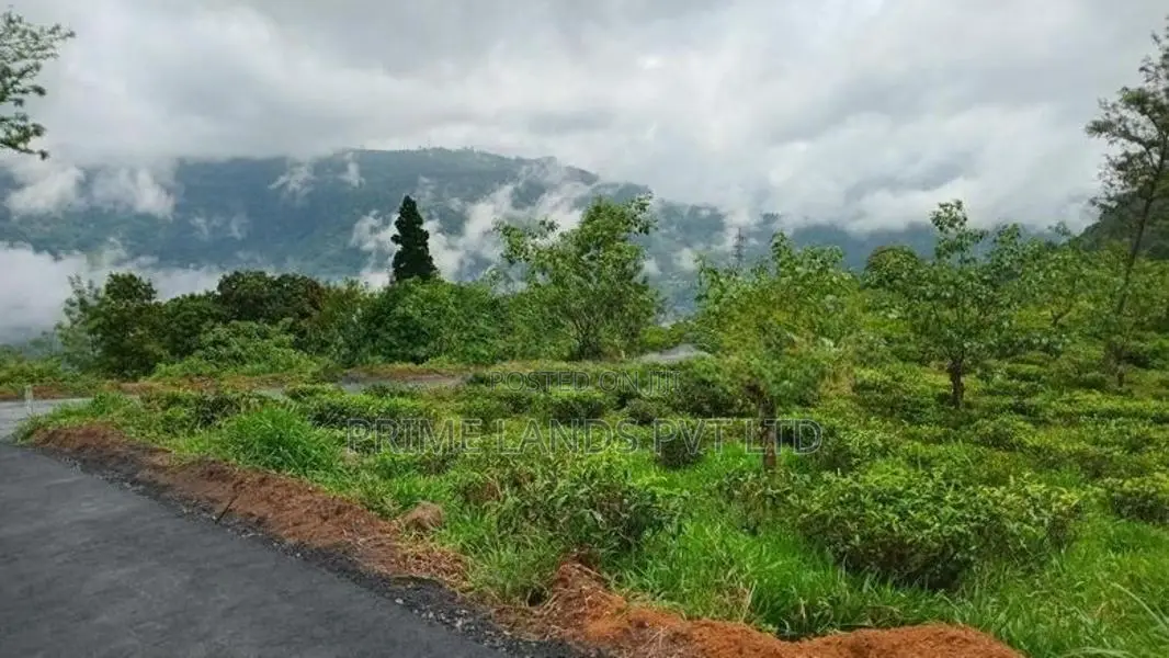 Land for Sale Pundaluoya